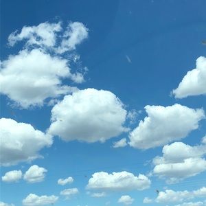 Meet your Posher, Shelbie